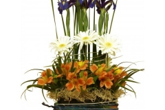ak0006